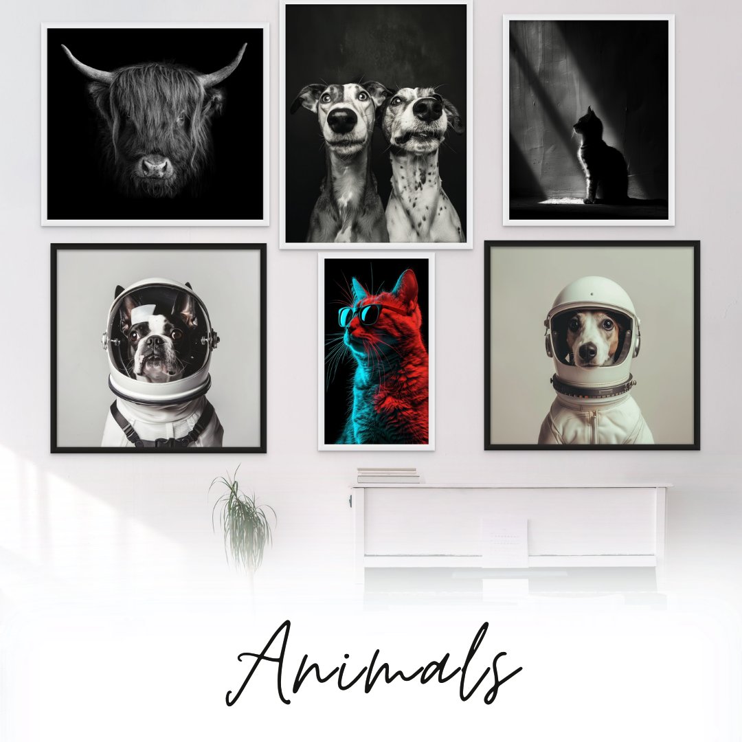 Animals